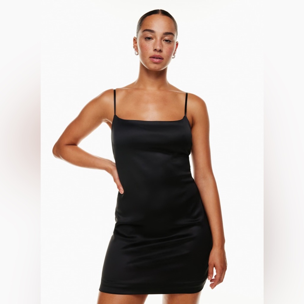 Aritzia Babaton Passion Satin Mini Dress